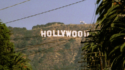 Photo of the Hollywood hills sign in the distance, with a blue sky above and palm trees in the foreground.