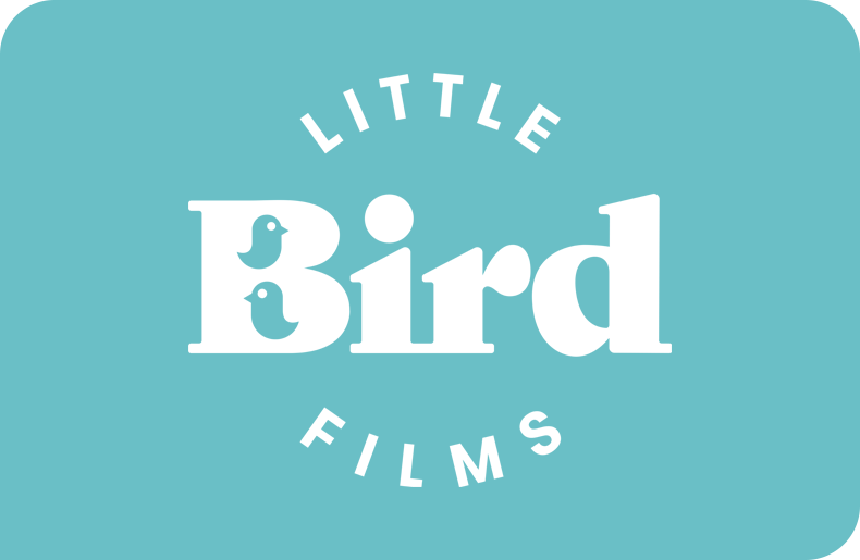 CTA Curved Little Bird Films.png
