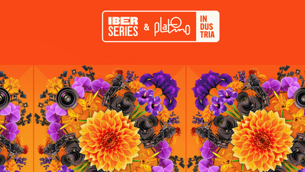 An image with flowers in yellow and purple on an orange background and the Iberseries logo in white.
