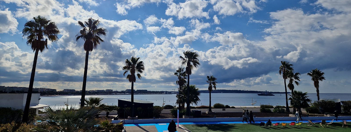 La Croisette in Cannes, palm trees and the sea