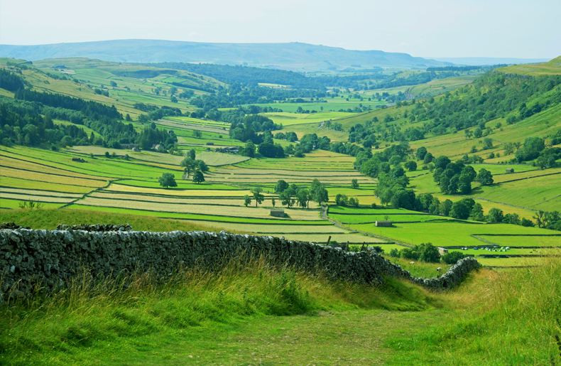 Yorkshire & The Humber